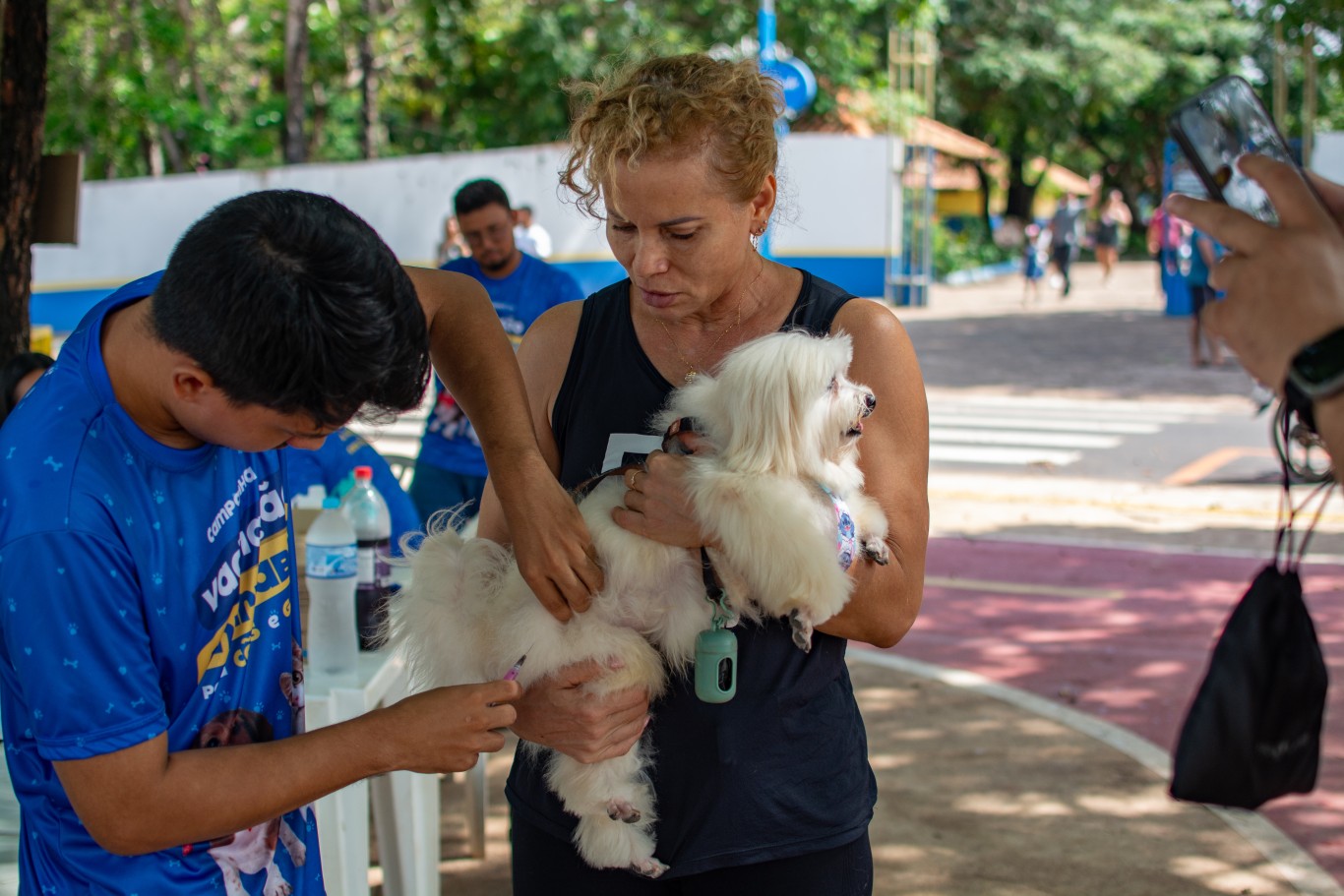Campanha de vacinação antirrábica continua nos bairros a partir desta quinta-feira, 16