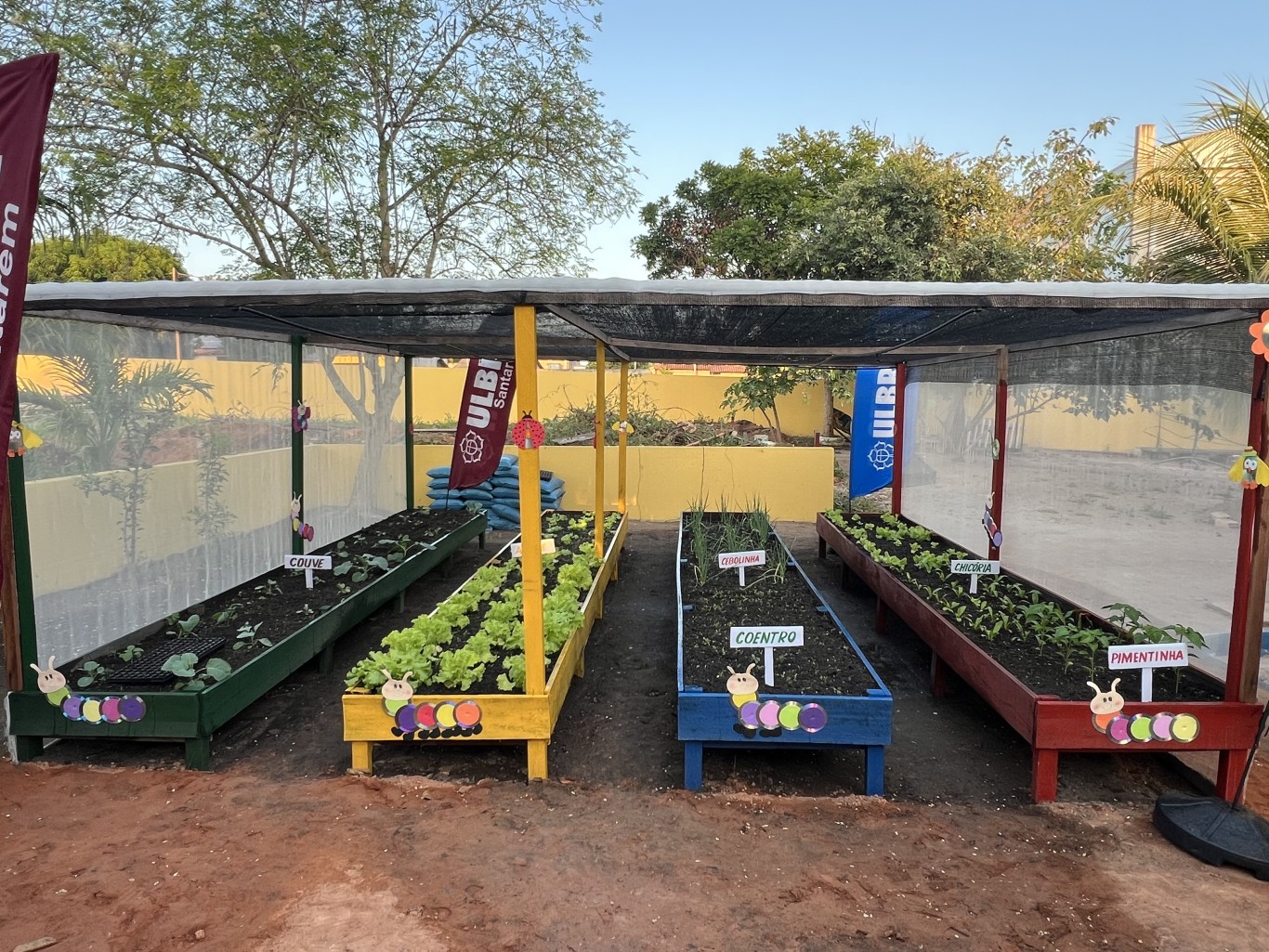 Imagem de Cemei Antônia Corrêa e Sousa entrega horta revitalizada para incentivar hábitos alimentares saudáveis na infância