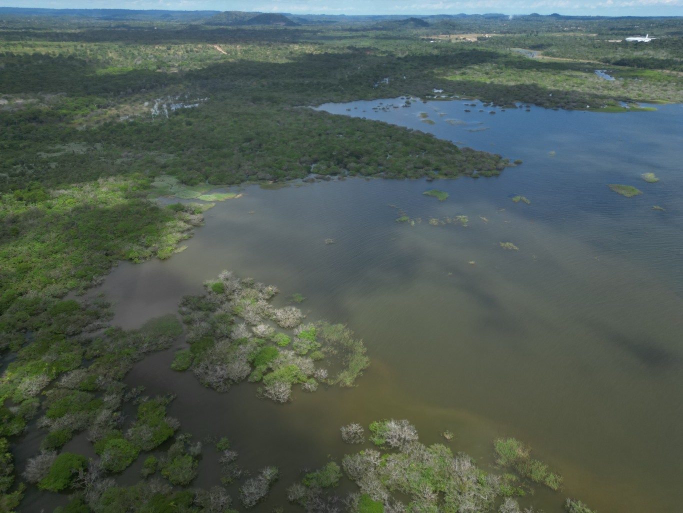 Áreas protegidas garantem equilíbrio ambiental em Santarém