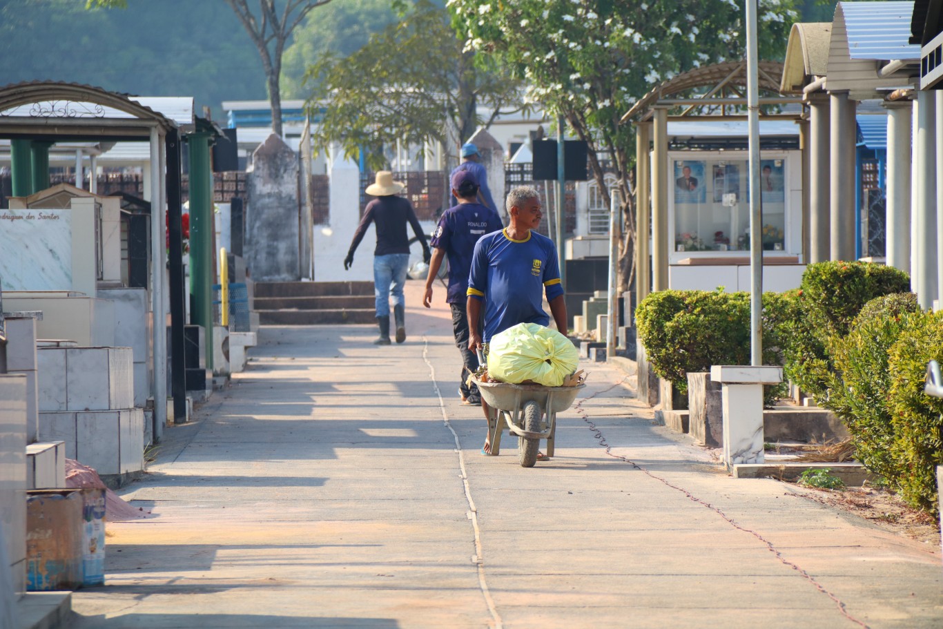 Imagem da notícia: Cemitérios de Santarém recebem serviços de limpeza e organização para o Dia de Finados