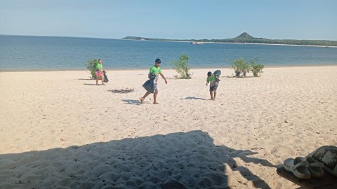 Imagem da notícia