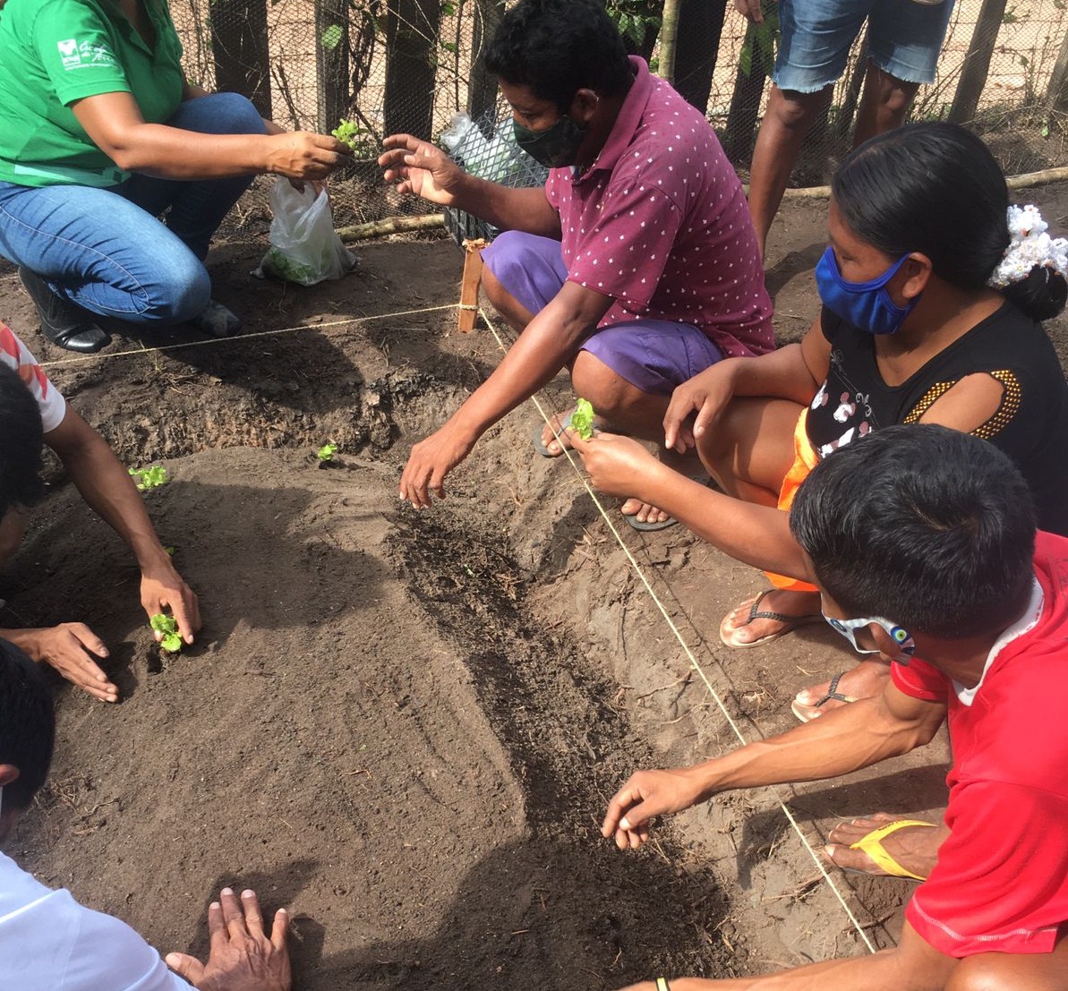 Indígenas Warao participam de oficina sobre cultivo de horta