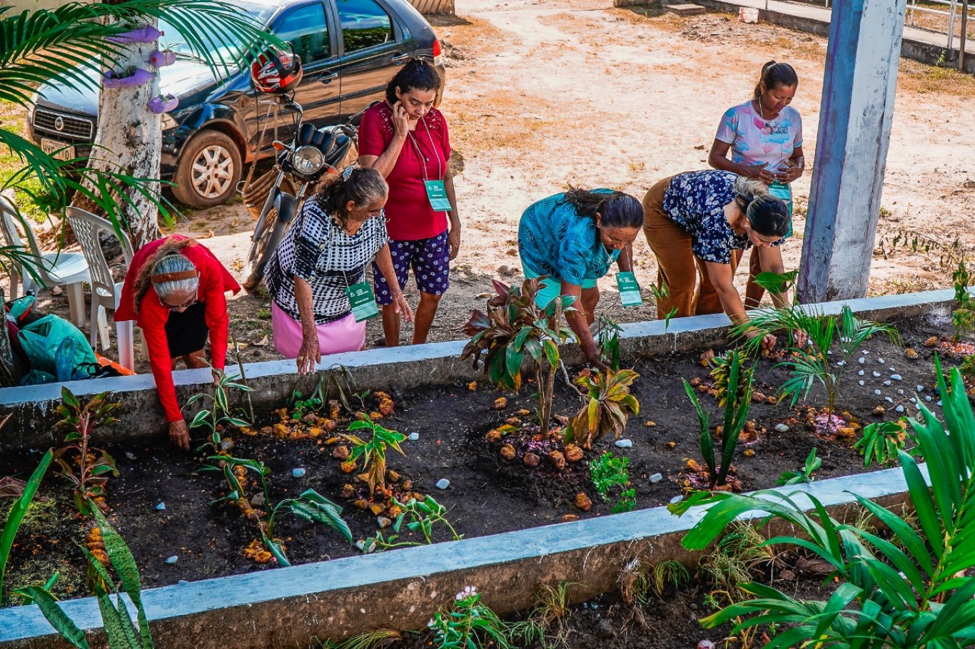 Curso de jardinagem fomenta geração de renda no Cras Urumari