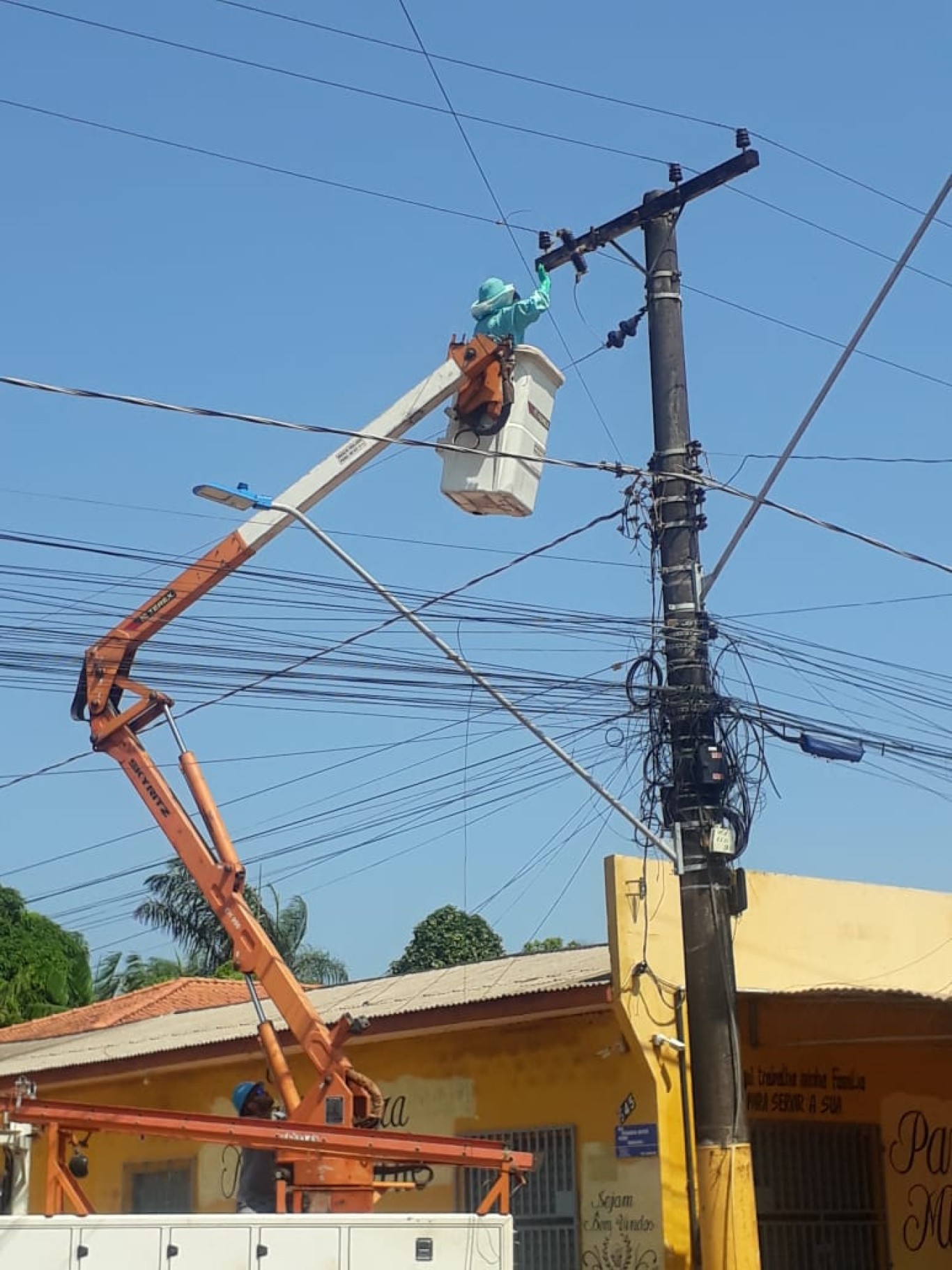 Semma atua na remoção de enxame de abelhas em Santarém