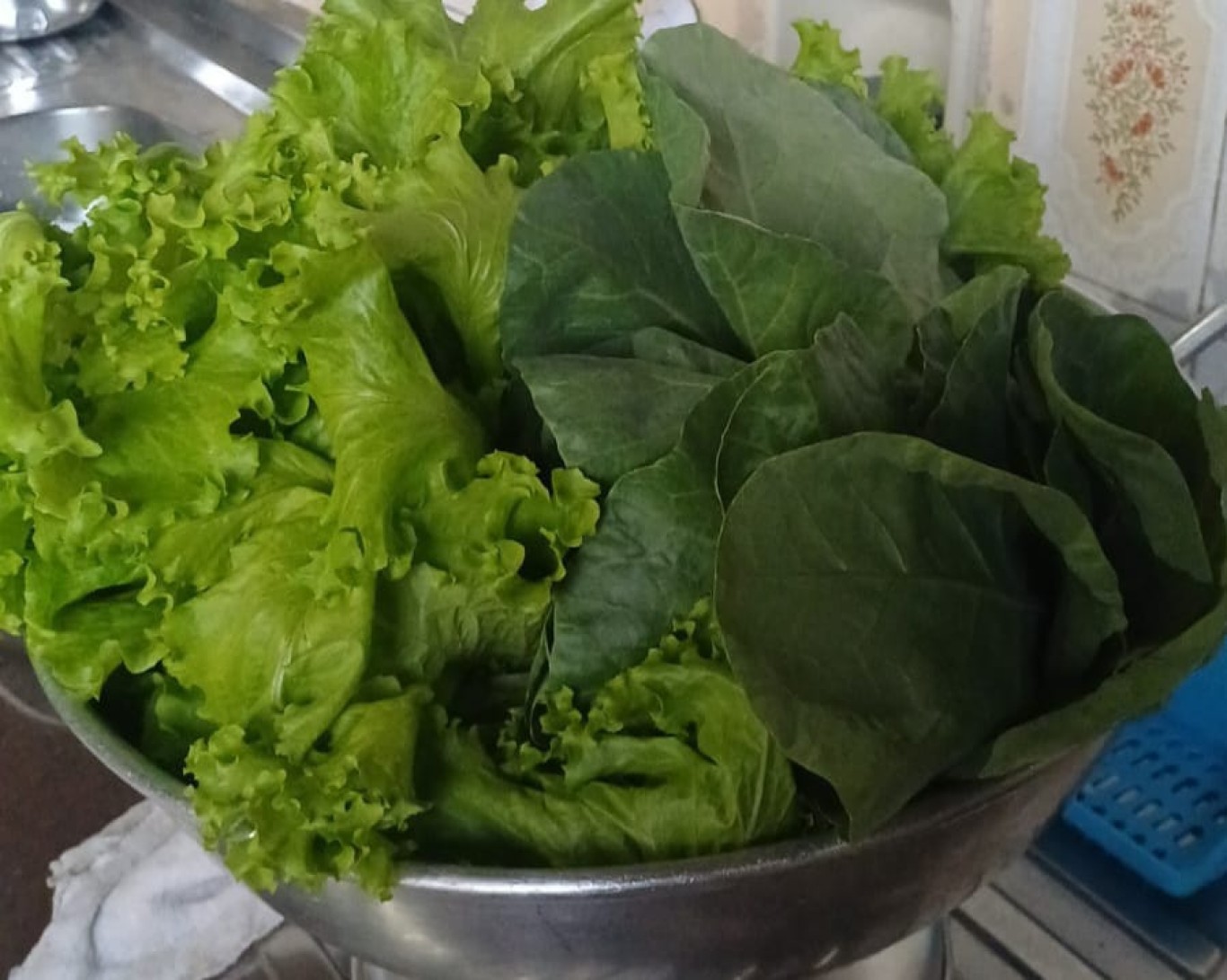 Curso de Hortaliças fortalece autonomia e alimentação saudável no Centro Pop em Santarém